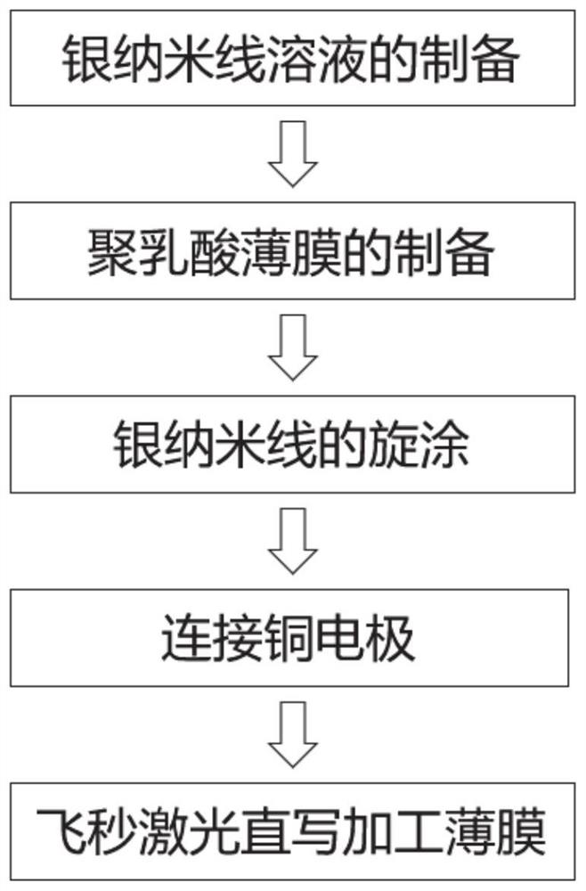 Method for preparing polylactic acid flexible strain sensor of silver nanowire and application of polylactic acid flexible strain sensor