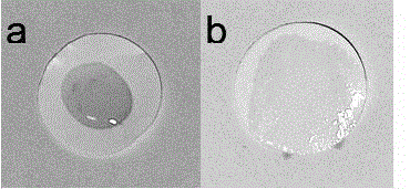 Preparation method for poly-dopamine modified ceramic particle nonwoven diaphragm