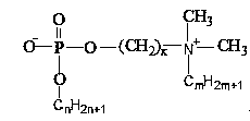 Negative-positive double-ion surfactant and preparation method thereof