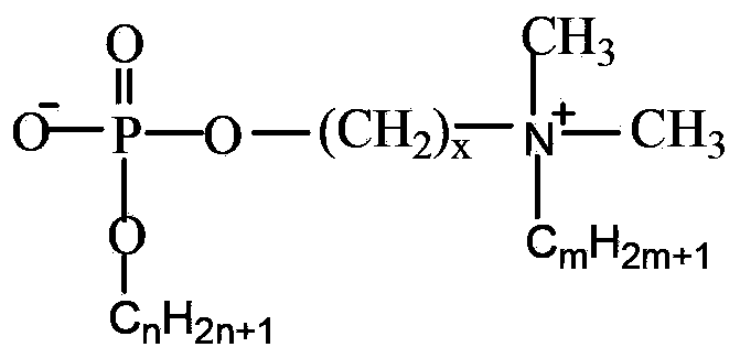 Negative-positive double-ion surfactant and preparation method thereof