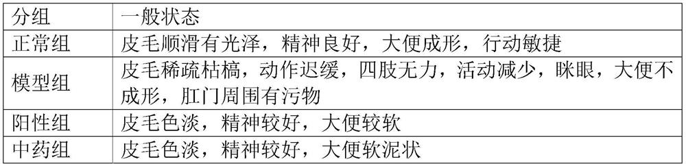 Dazhuanzhong decoction semisolid preparation and preparation method thereof