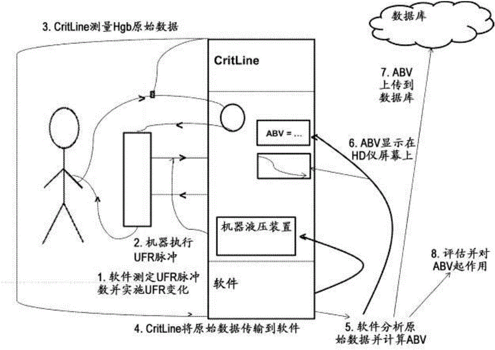 Absolute blood volume measurement using ultrafiltration pulsing