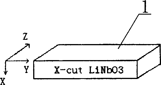 Lithium niobate modulator and its making process