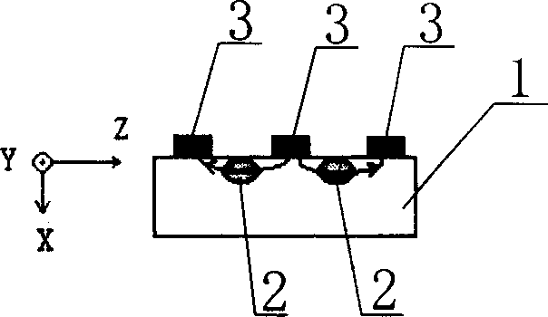 Lithium niobate modulator and its making process