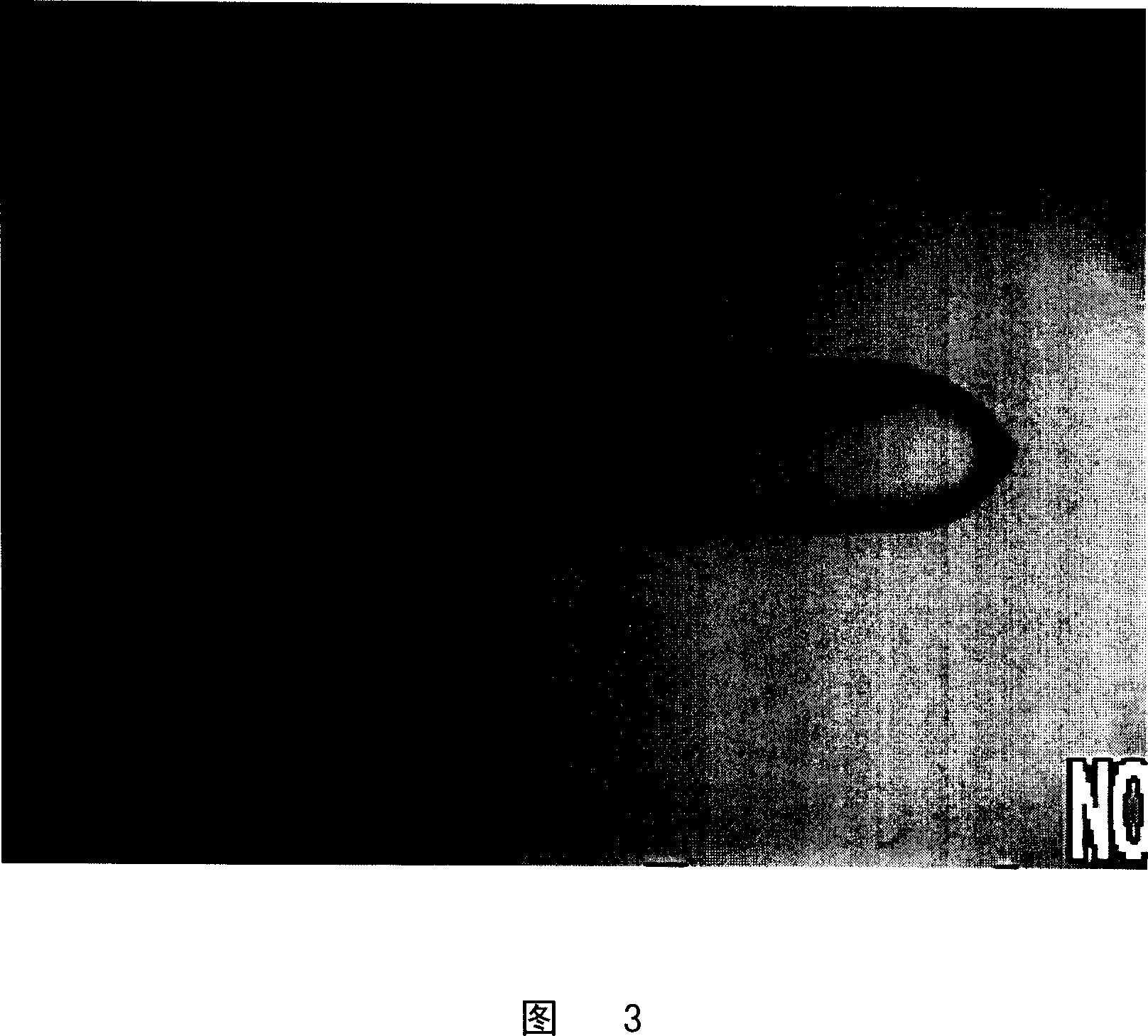 Single filament end portion chemical rounding method, brush filament manufacturing method and brush filament manufactured thereof