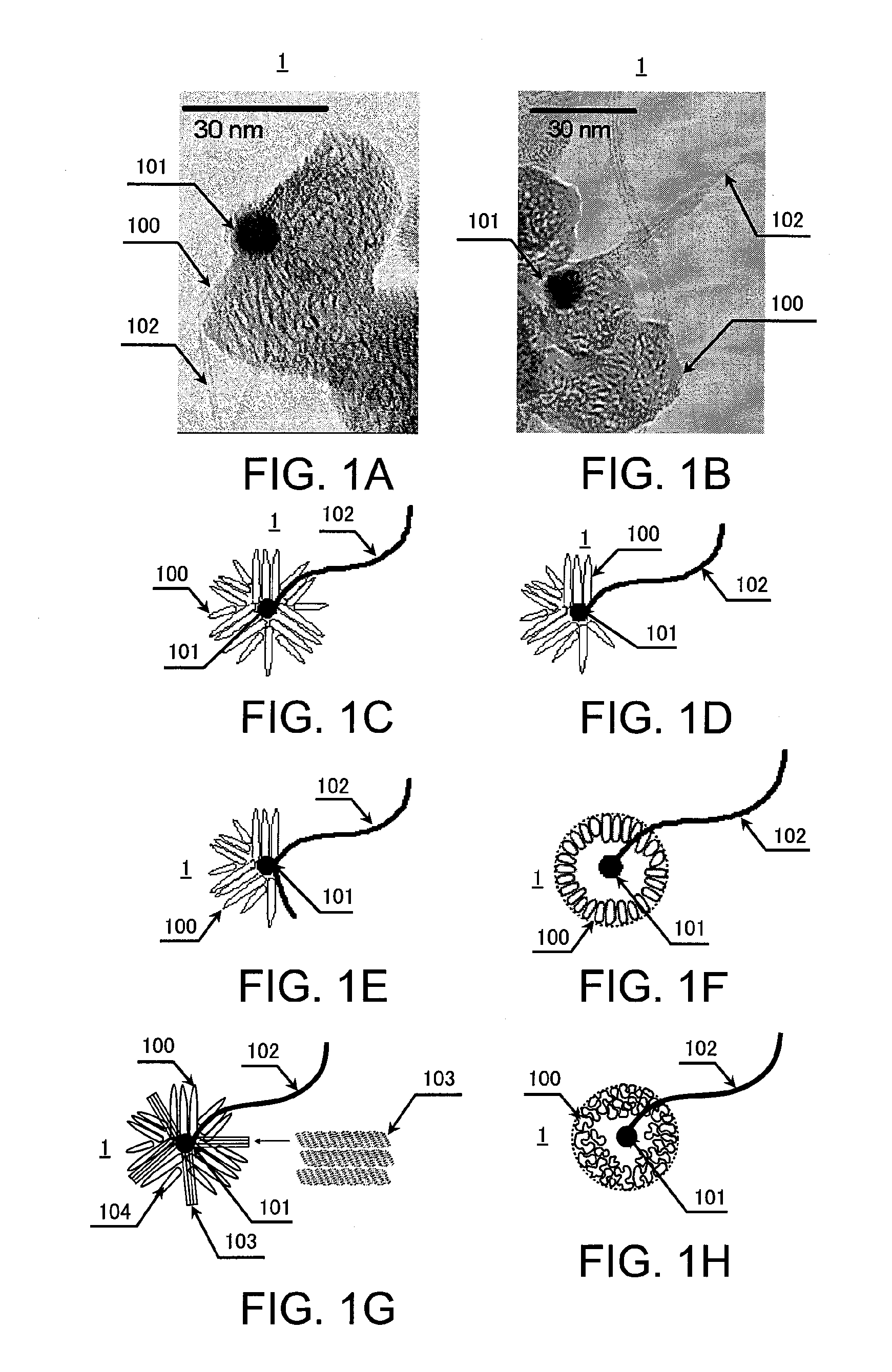 Nanotube-nanohorn complex and method of manufacturing the same