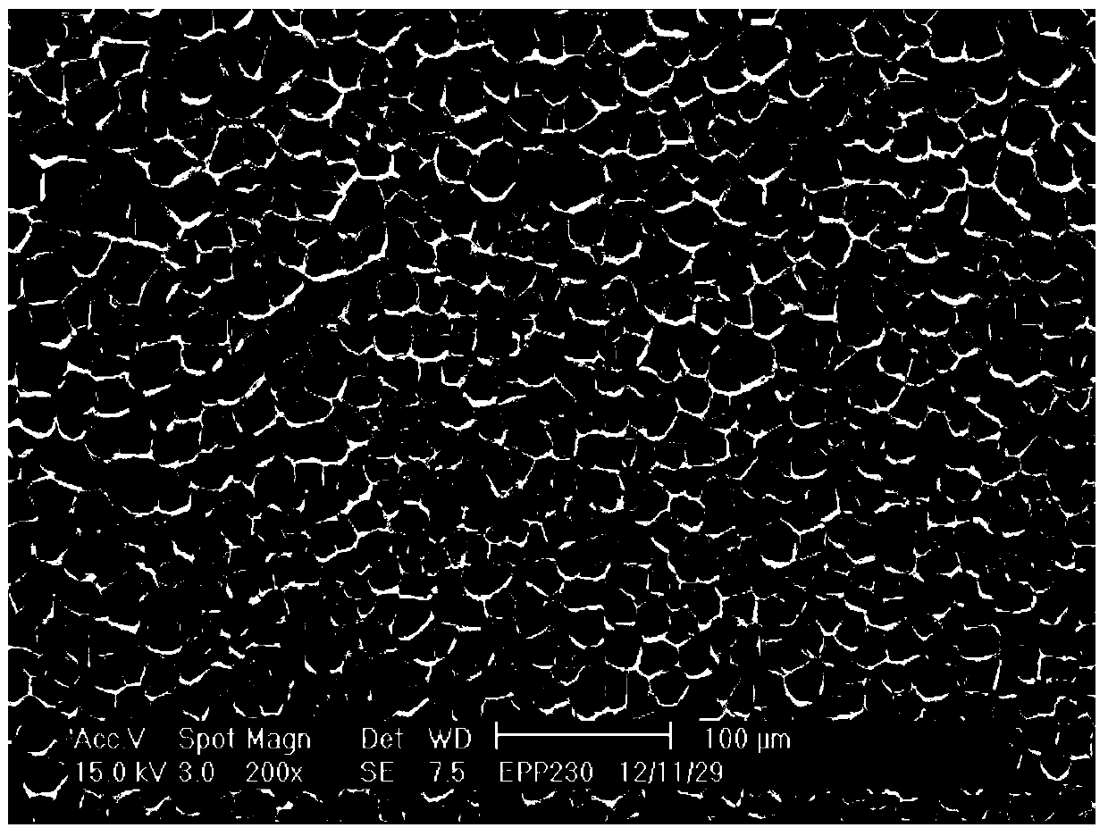 A kind of preparation method of polypropylene foam beads