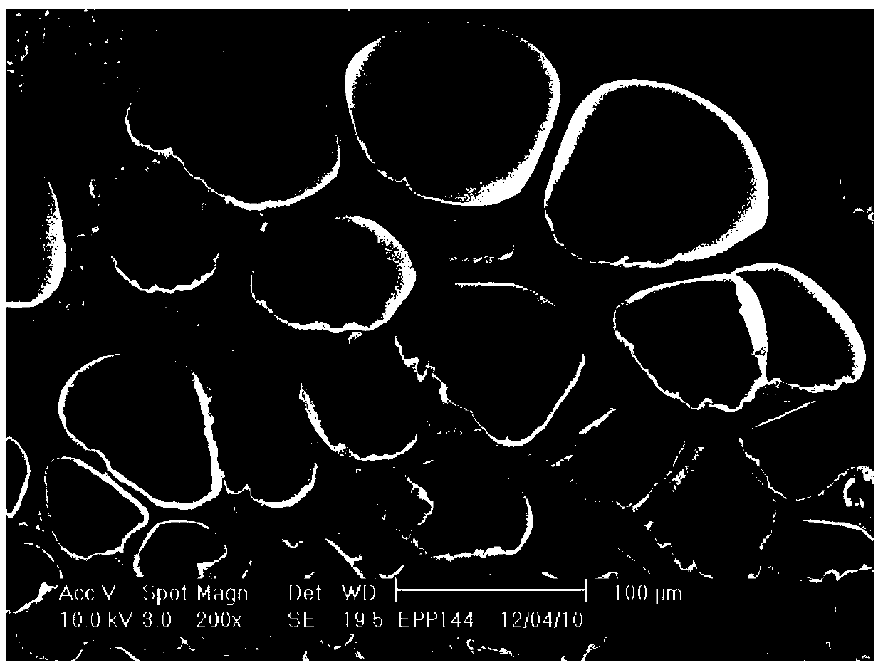 A kind of preparation method of polypropylene foam beads