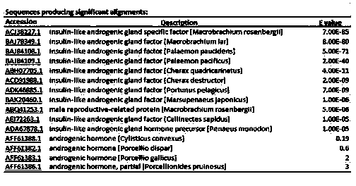 Macrobrachium nipponense MnIAG gene, and amplimer group and amplification method thereof