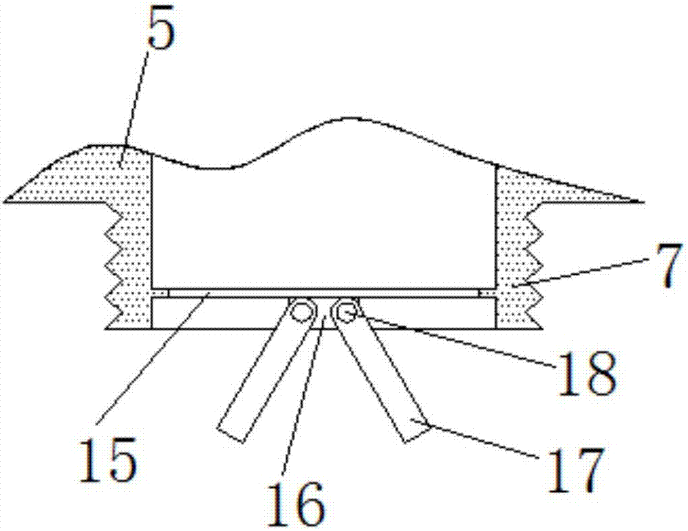 Sampling equipment used for food detection