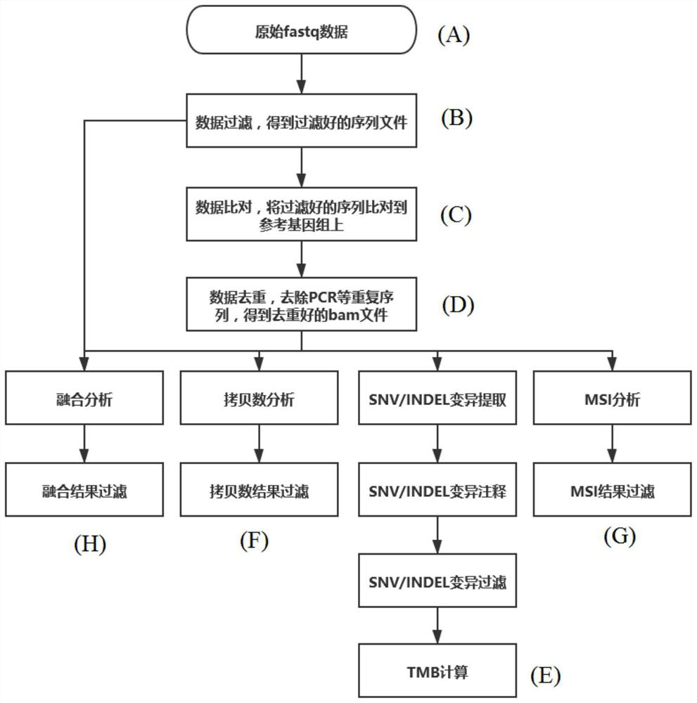 Somatic mutation detection method and device for tumor tissue single samples