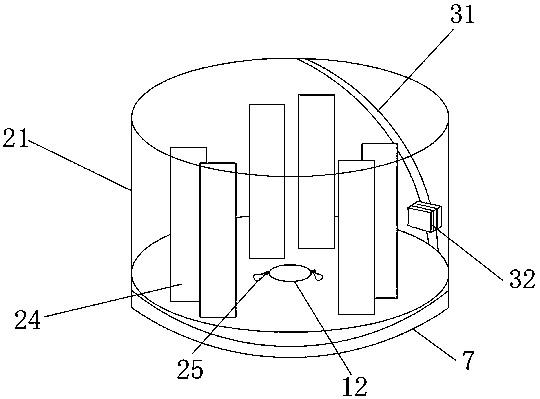 Black soldier fly farming equipment with automatic sorting function and method of use thereof