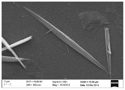 Preparation method of xonotlite crystal whisker