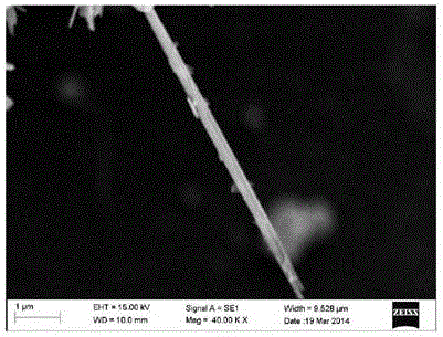 Preparation method of xonotlite crystal whisker