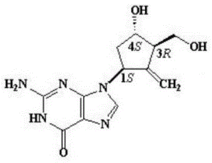 Entecavir-loaded mesoporous silica nanoparticle and preparation method thereof