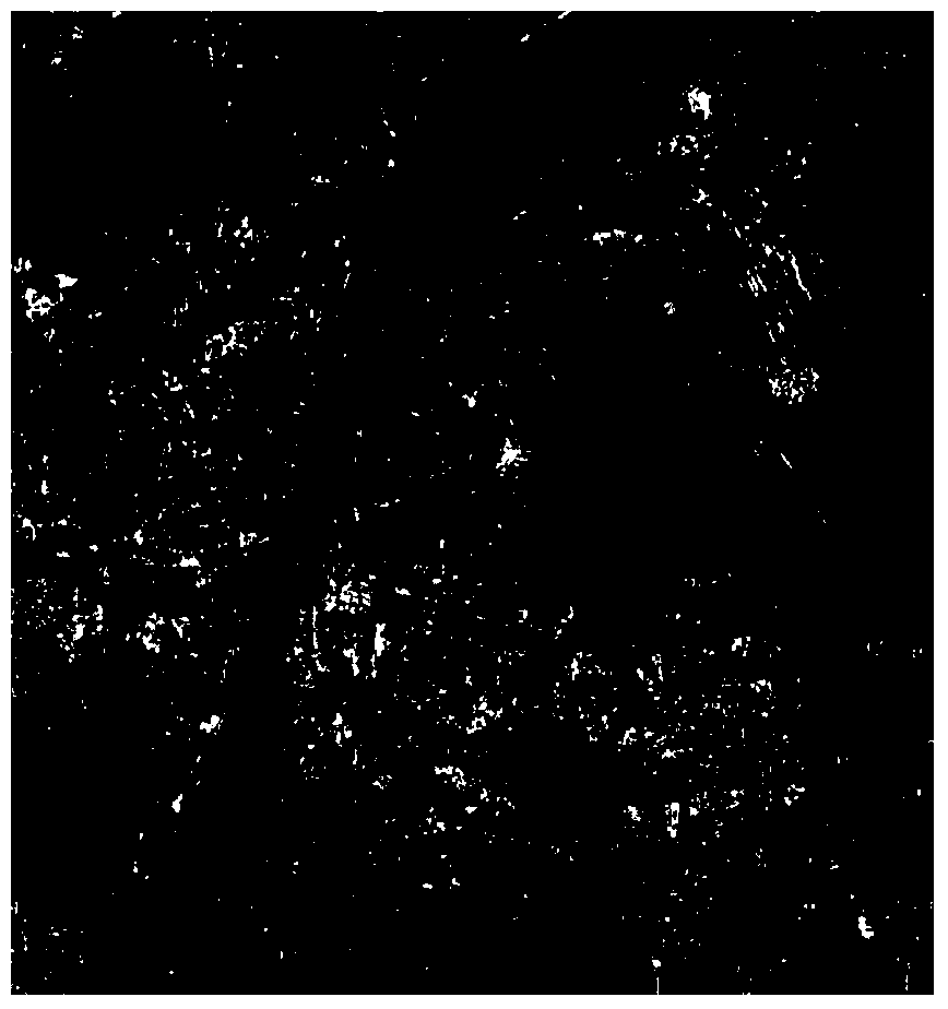 SAR image channel extraction method combining gray-level threshold-value segmentation and contour shape identification