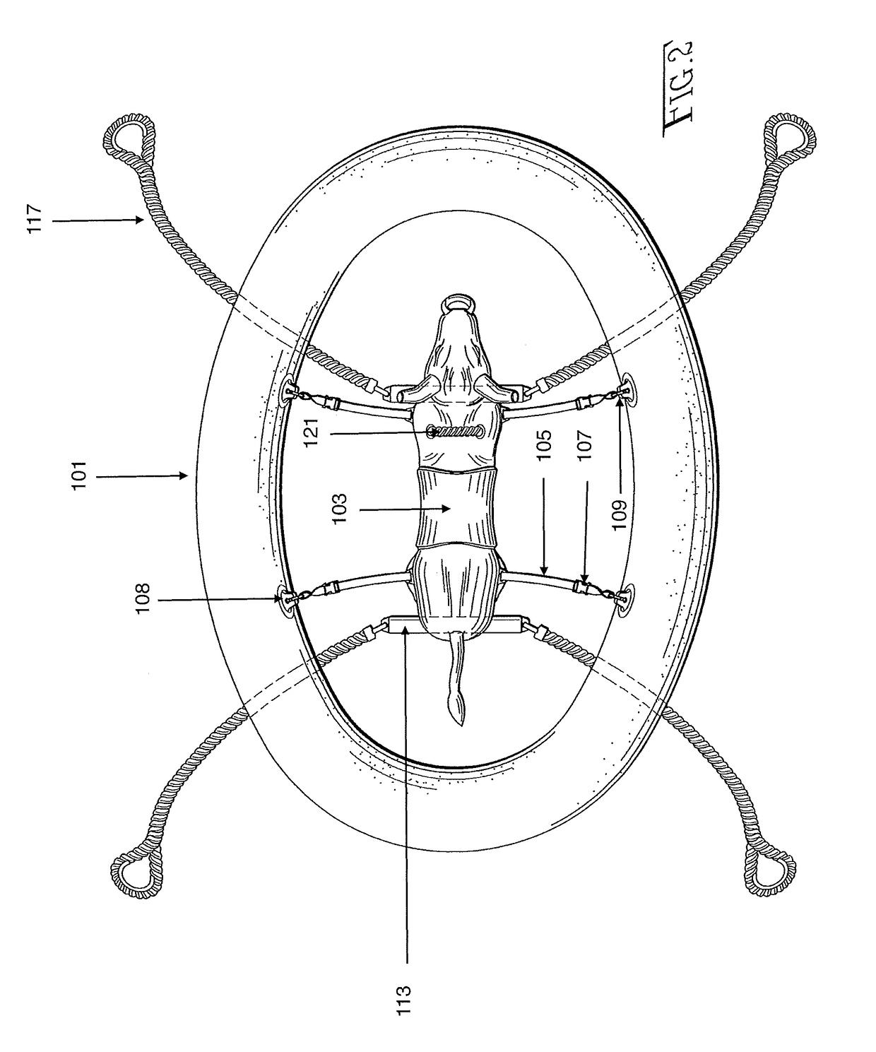 Inflatable Ride-On Water Toy