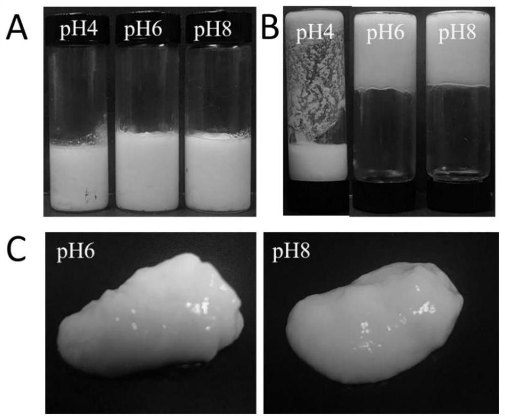 Preparation method of nanoparticle and nanofiber composite stable high internal phase emulsion