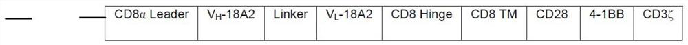 Anti-claudin18a2 chimeric antigen receptor, its modified T cell and T cell preparation method and application