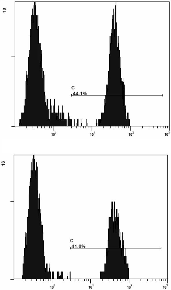 Anti-claudin18a2 chimeric antigen receptor, its modified T cell and T cell preparation method and application