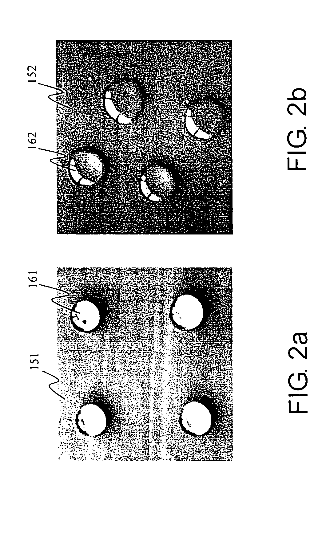 Oil/gas separation membrane, its use in gas sensor and process for producing the same