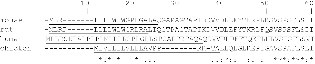 Heparanase activity neutralizing anti-heparanase monoclonal antibody and other anti-heparanase antibodies