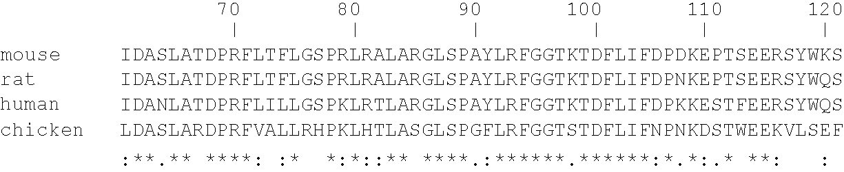 Heparanase activity neutralizing anti-heparanase monoclonal antibody and other anti-heparanase antibodies