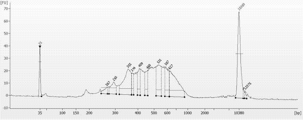 Library establishing method for unicellular RRBS sequencing and application thereof