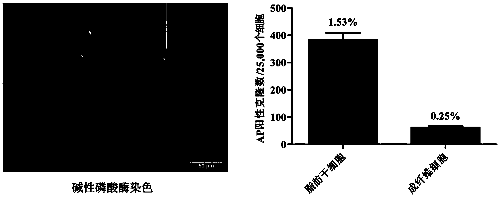 Method for efficiently acquiring inductive pluripotent stem cells (iPSCs)