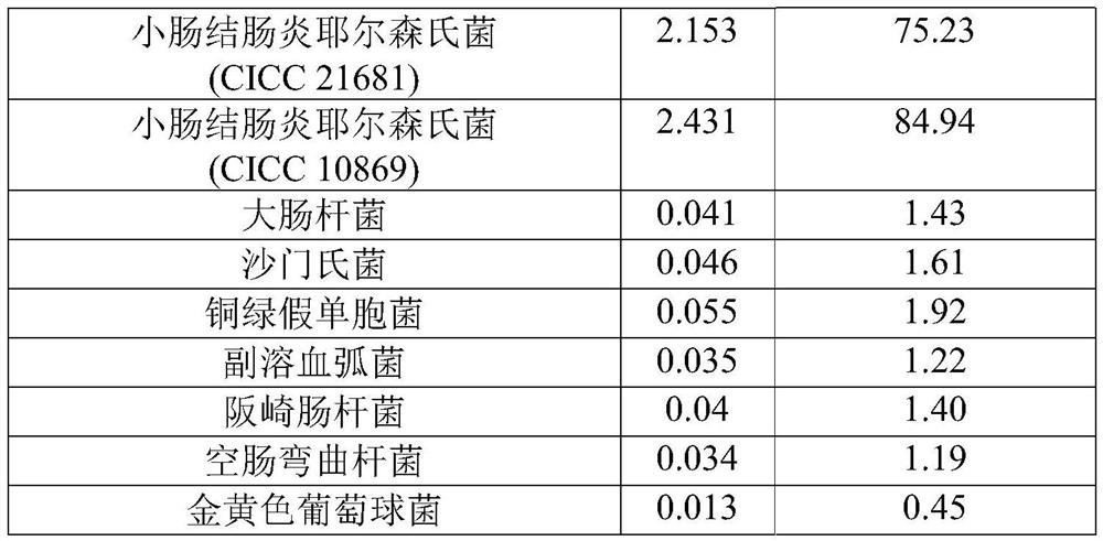 Yersinia enterocolitica monoclonal antibody hybridoma cell strain and application thereof