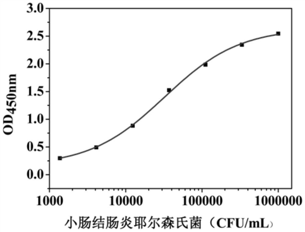 Yersinia enterocolitica monoclonal antibody hybridoma cell strain and application thereof