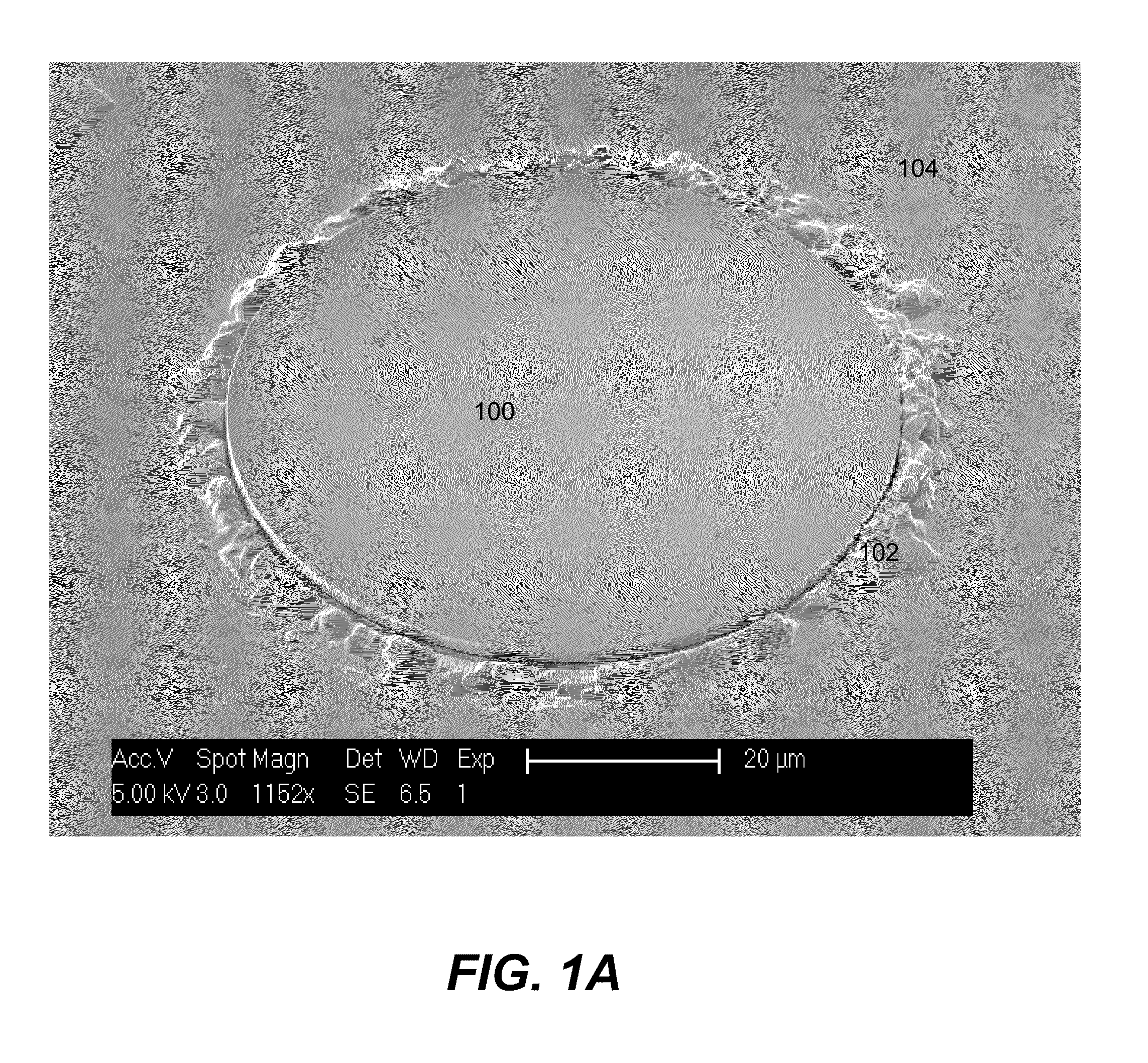 Method for the reuse of gallium nitride epitaxial substrates