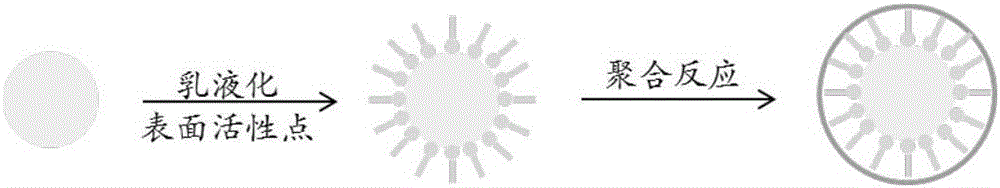 Polymer and nanometer sulfur composite material with shell and egg yolk structure and preparation method