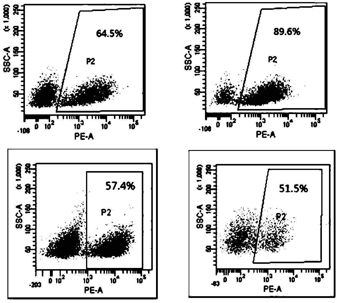 Chimeric antigen receptor DAP12-T2A-CD8alpha-CD19scFv-TREM1 and purpose thereof