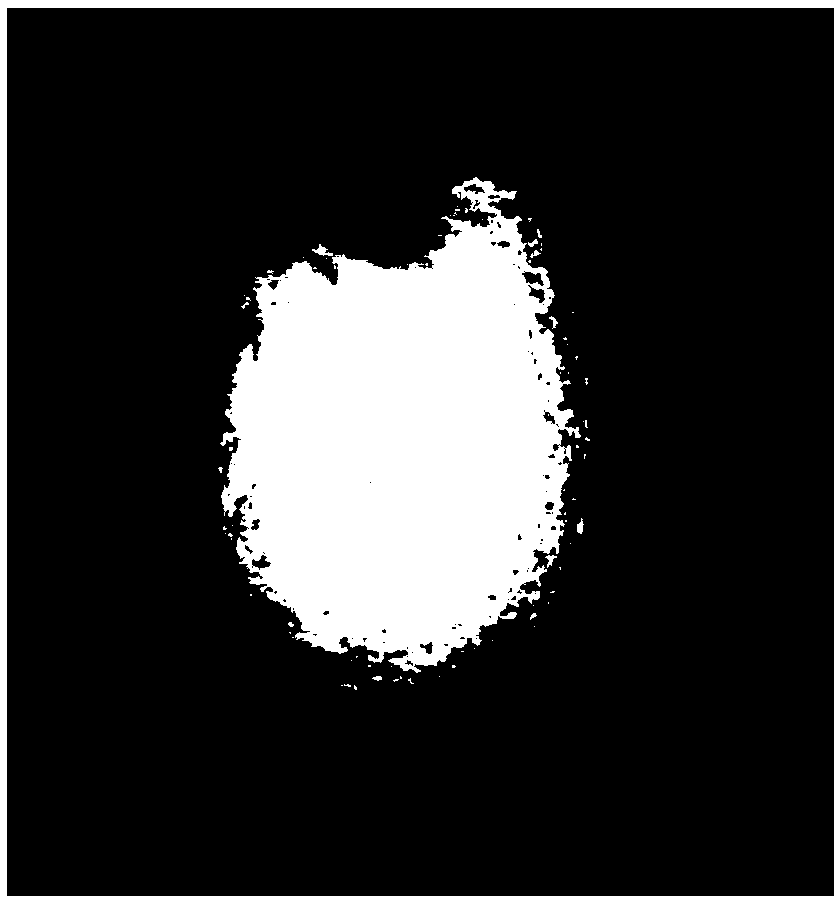 Citrus surface defect detecting method based on surface fitting correction, and computer program