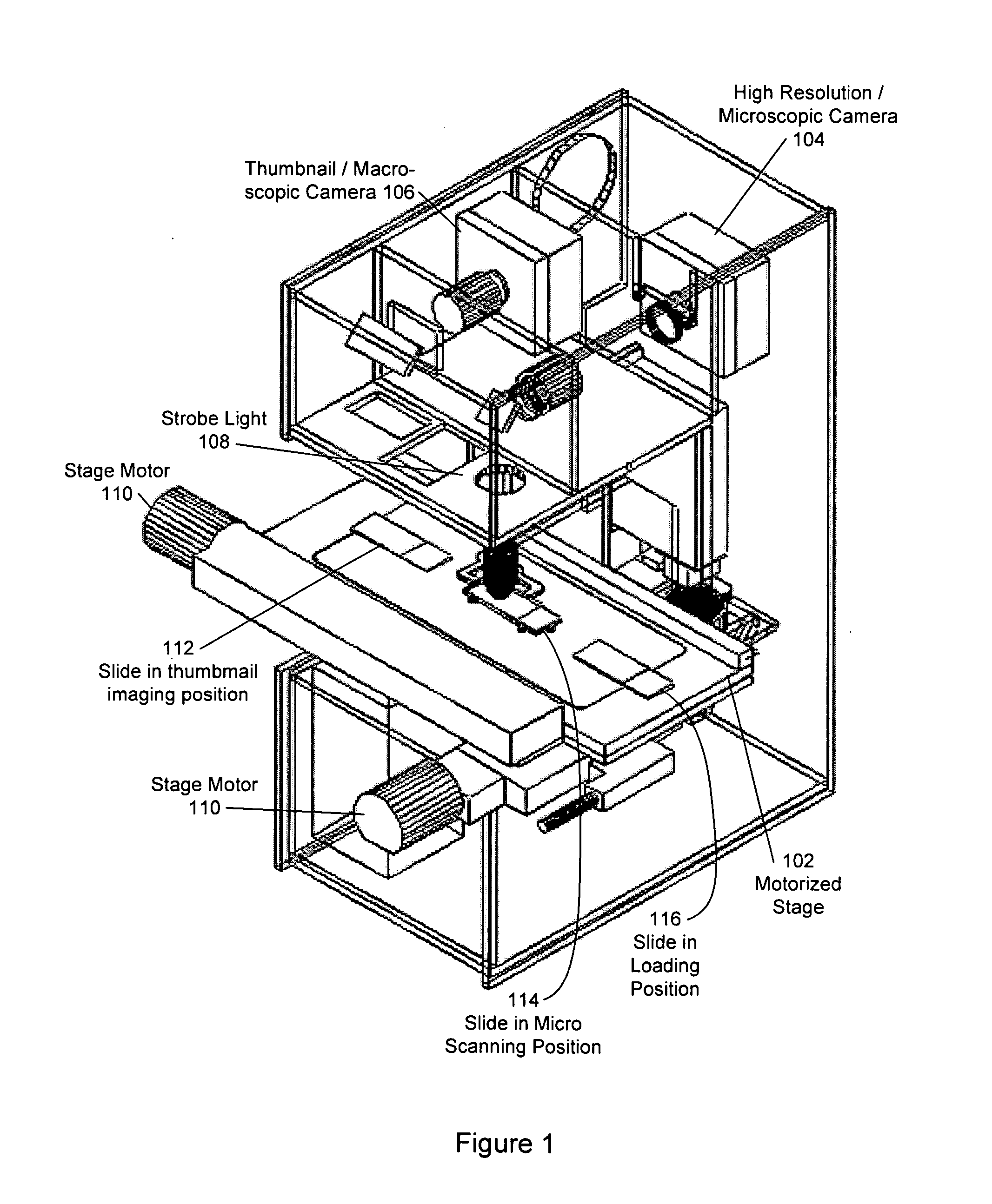 System for creating microscopic digital montage images