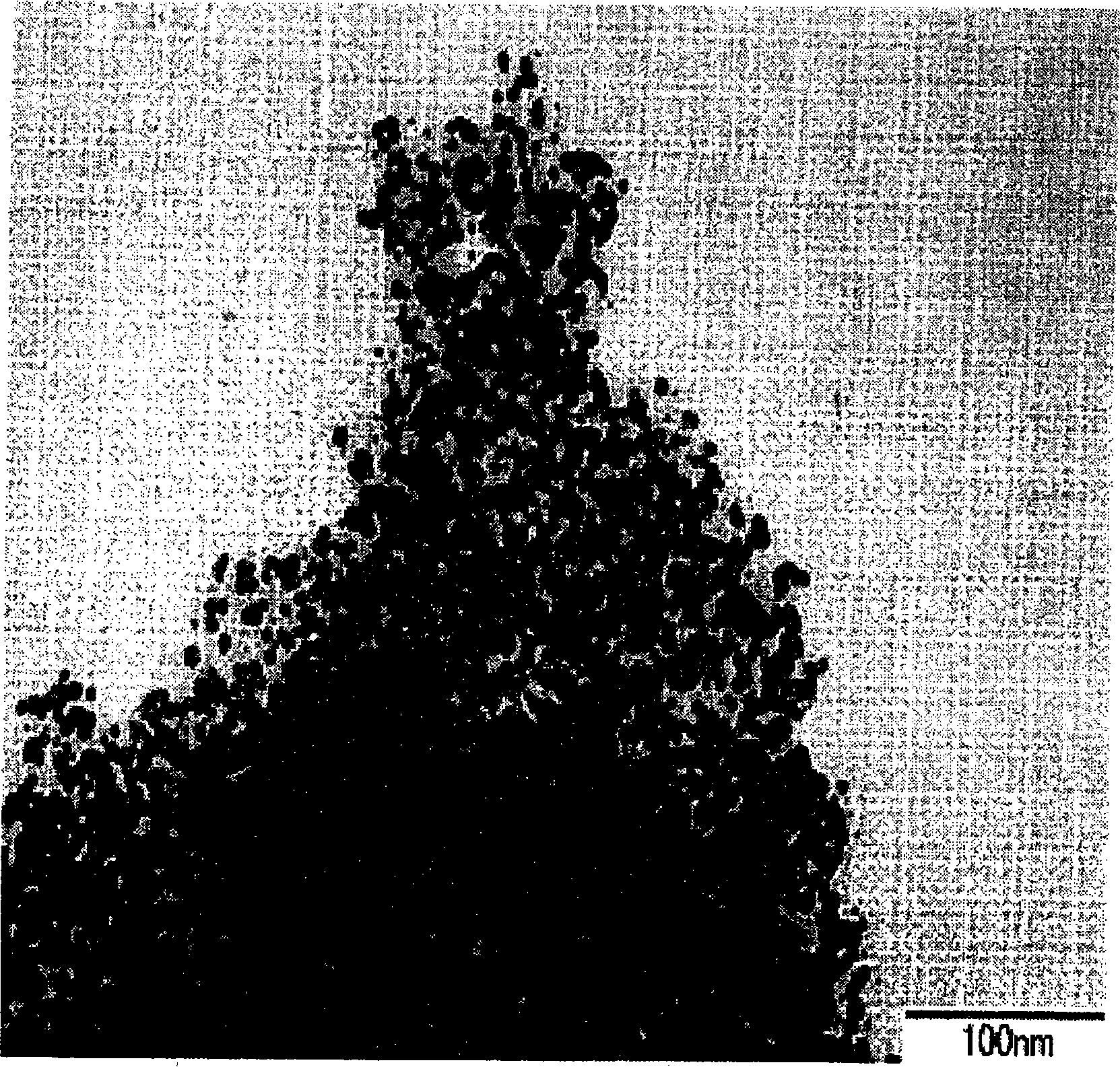 Metal nanoparticle dispersion and process for producing the same