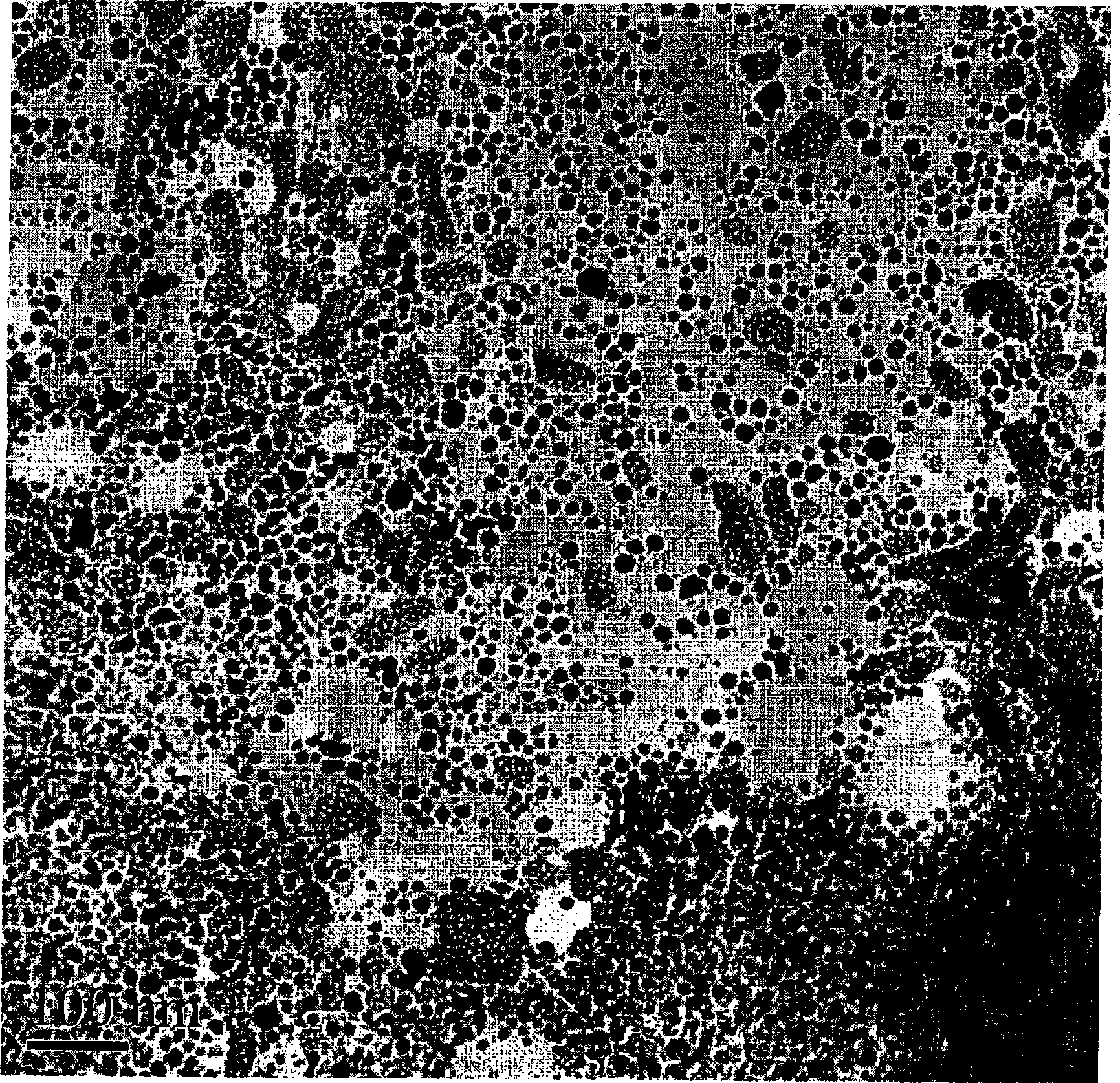 Metal nanoparticle dispersion and process for producing the same