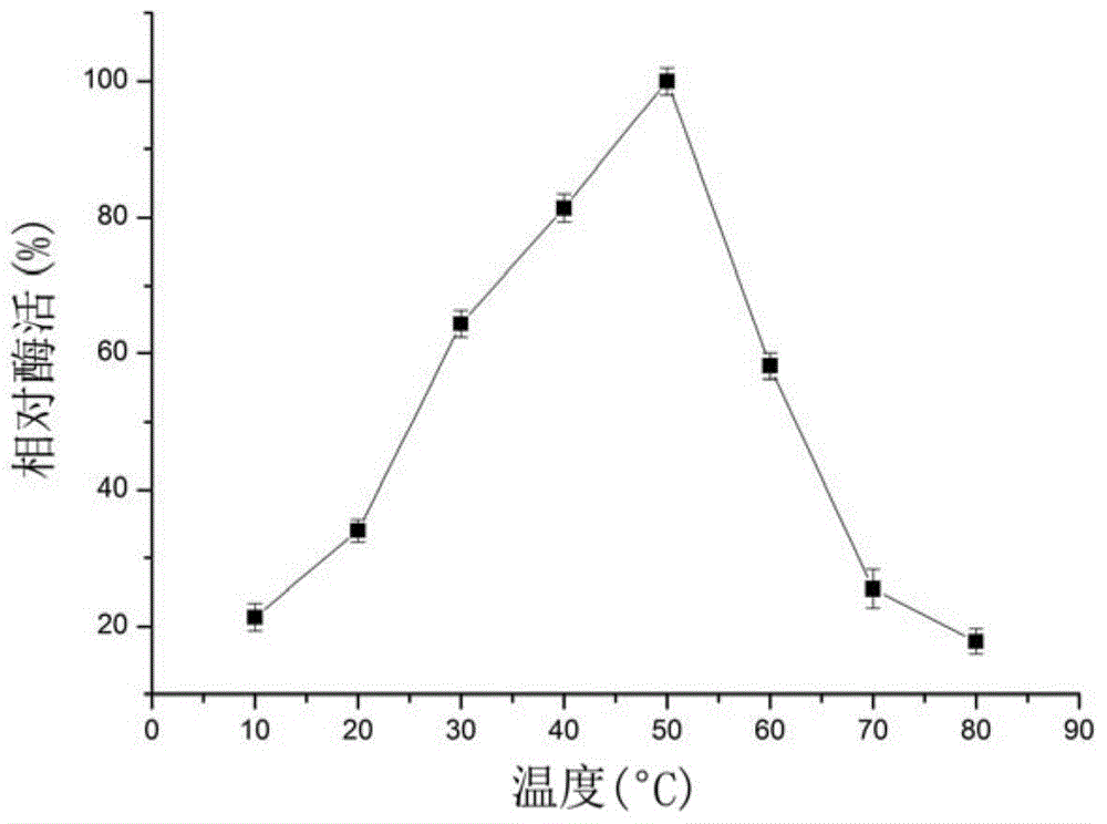 Alpha-amylase Amy16, as well as gene and application thereof