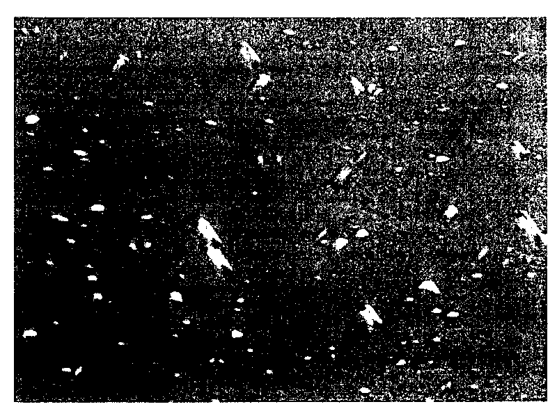 Annealed wafer and method for producing annealed wafer