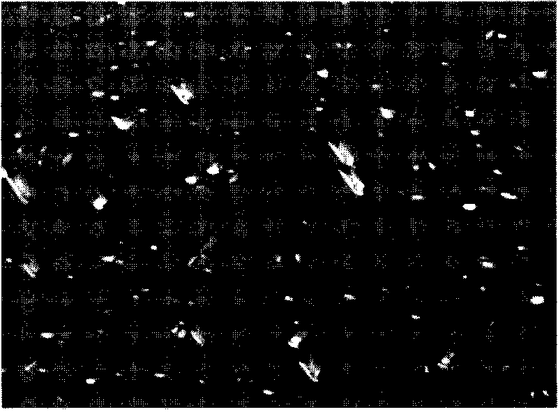 Annealed wafer and method for producing annealed wafer