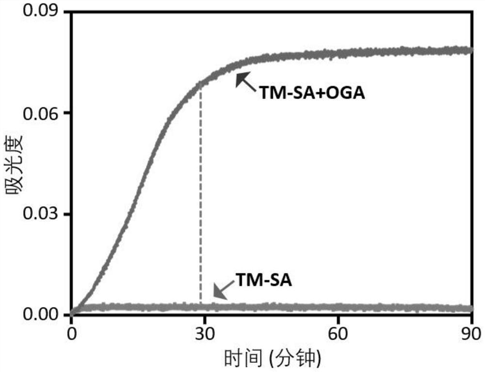 Polypeptide aggregate molecule as well as preparation method and application thereof