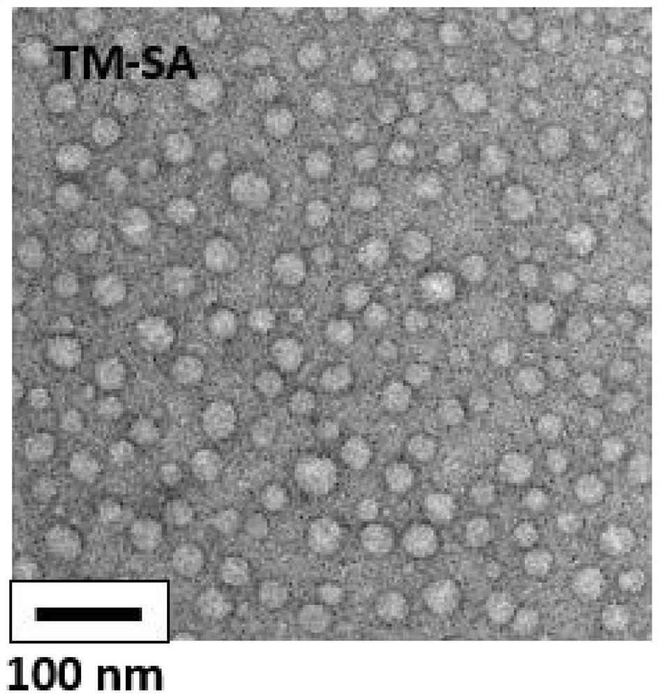 Polypeptide aggregate molecule as well as preparation method and application thereof