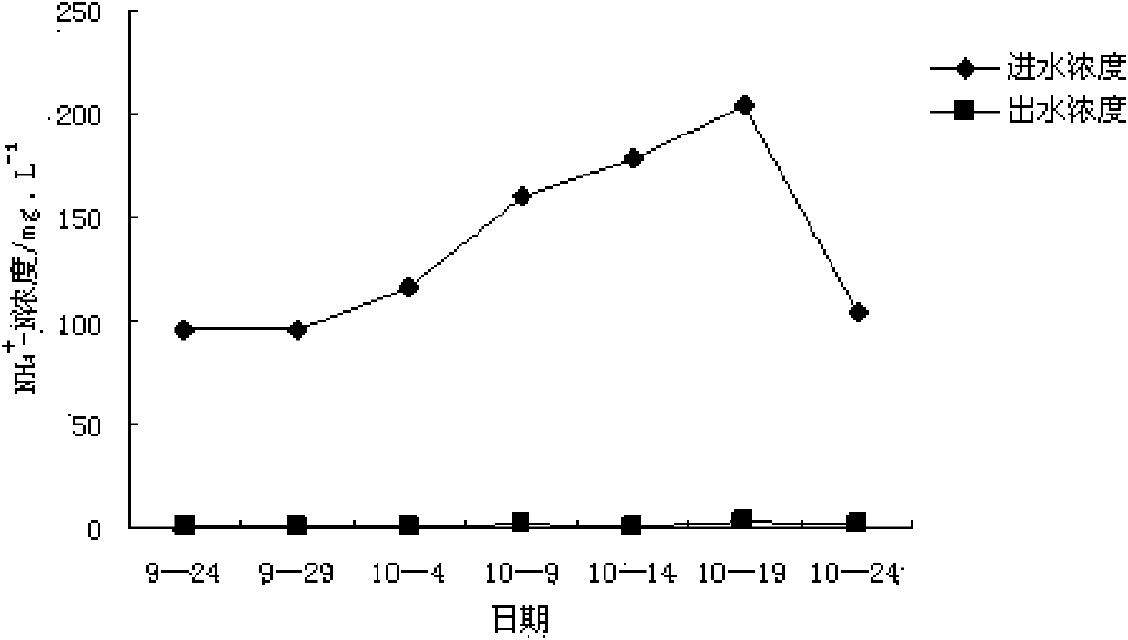 Application of valerian in treating livestock breeding wastewater