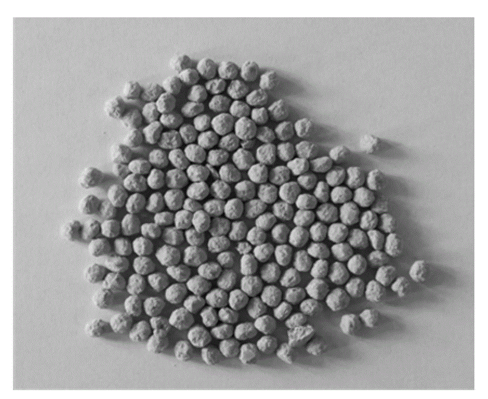 Controllable oxidative-biological degradation plastic master batch and preparation method thereof