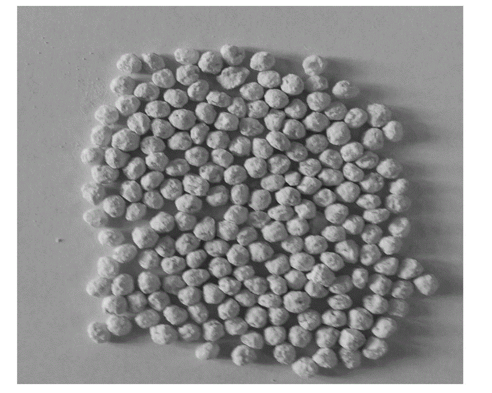 Controllable oxidative-biological degradation plastic master batch and preparation method thereof