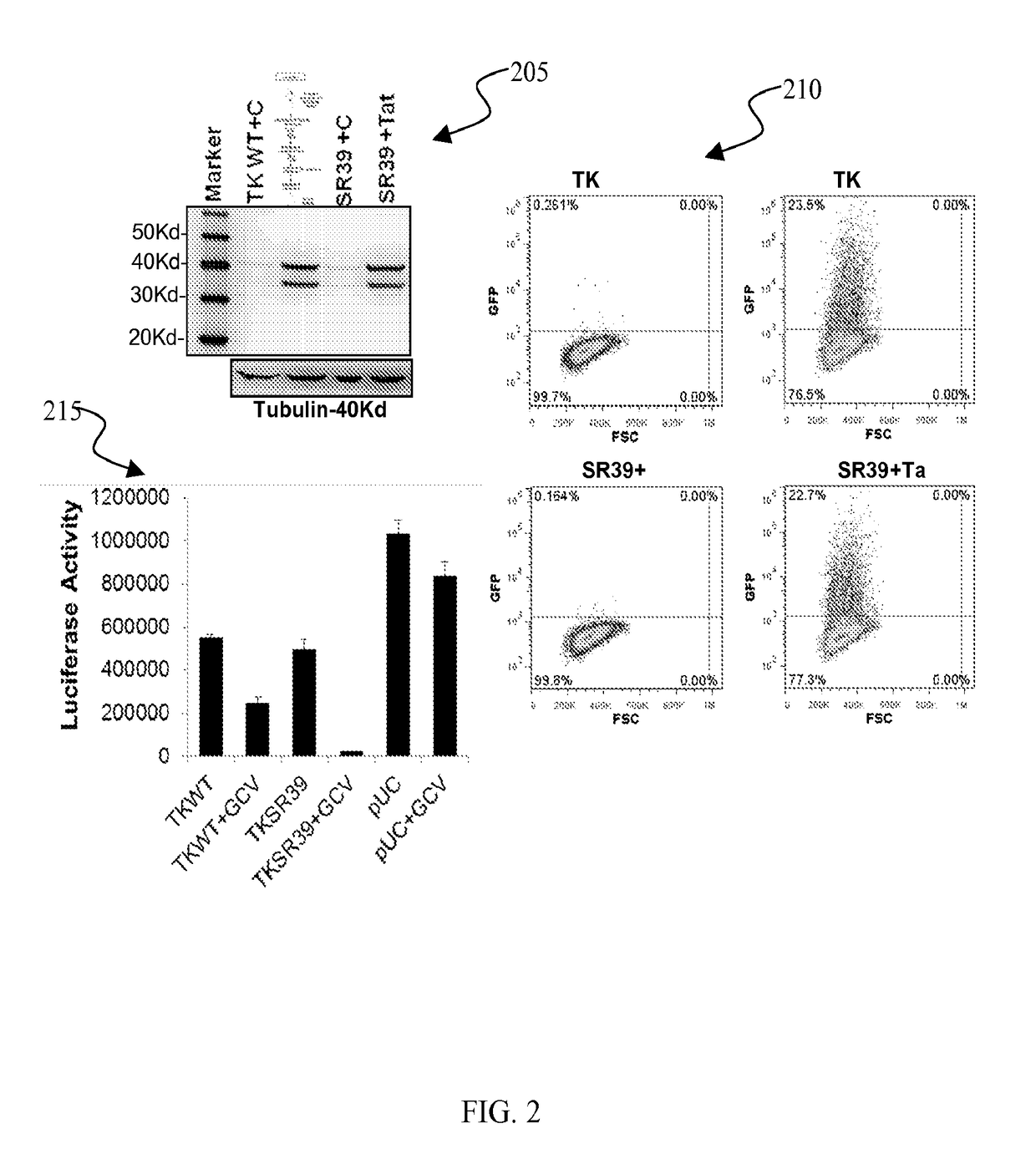 Conditional cytotoxic gene therapy vector for selectable stem cell modification for anti HIV gene therapy