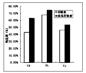 Soil heavy metal passivator and preparation method thereof