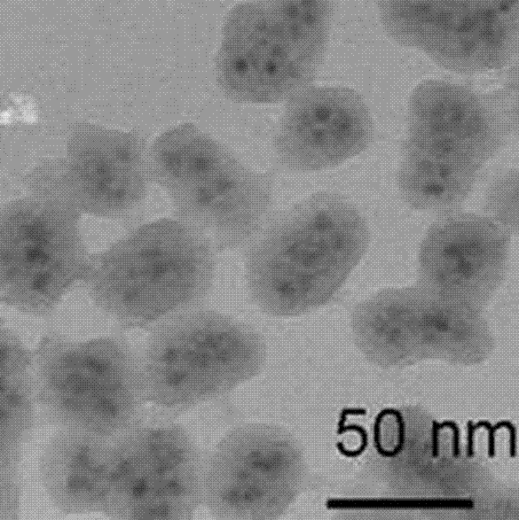 High-fluorescent brightness quantum dot composite particle, immunological detection probe and preparation method of the high-fluorescent brightness quantum dot composite particle