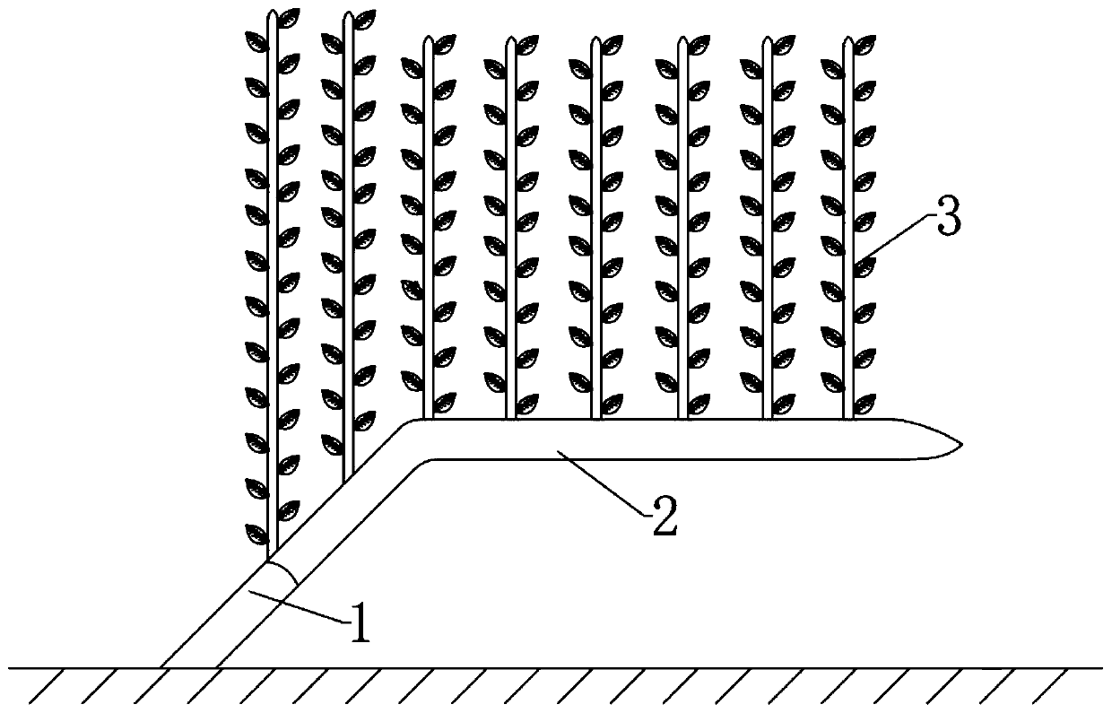 Apple oblique-trunk multi-main-branch vertical plane tree form and shaping method thereof